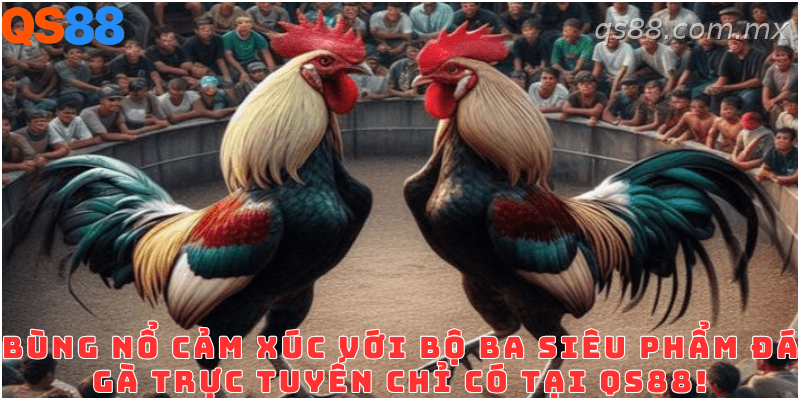 Các hình thức đá gà phổ biến đang có tại sảnh QS88